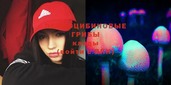 не бодяженный Алзамай