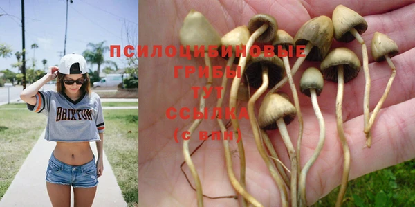круглые Алексин