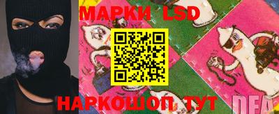 молекула духа Донецк