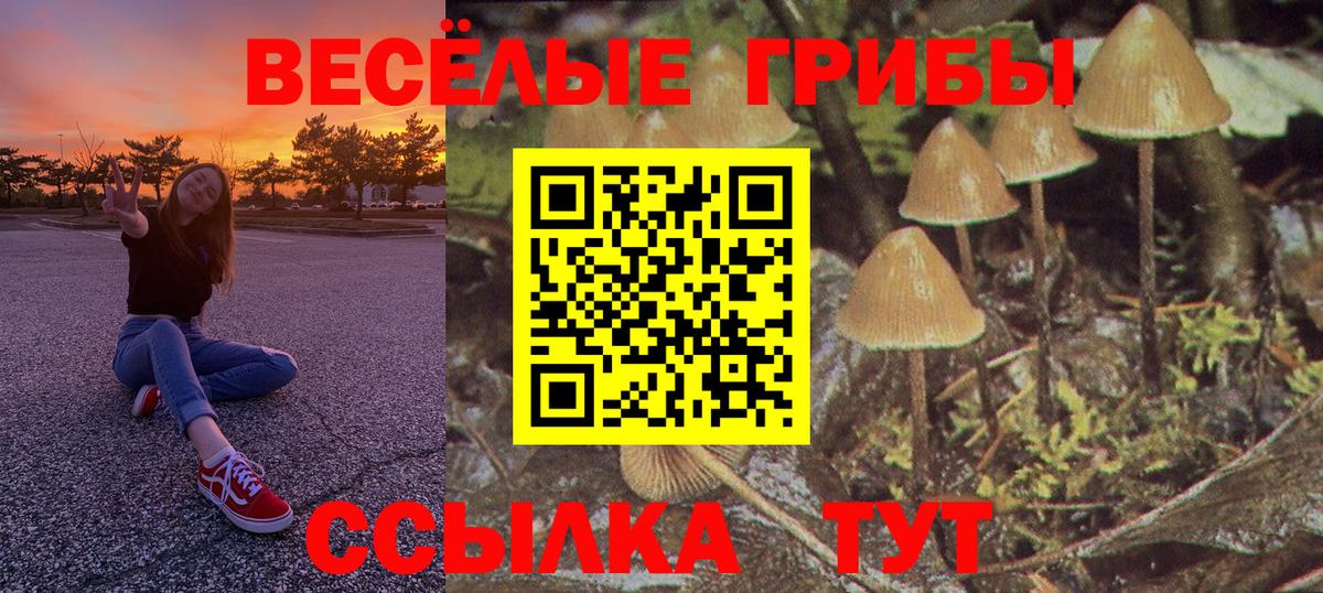 где можно купить   Галлюциногенные грибы ЛСД  Вход с VPN  Нововоронеж 